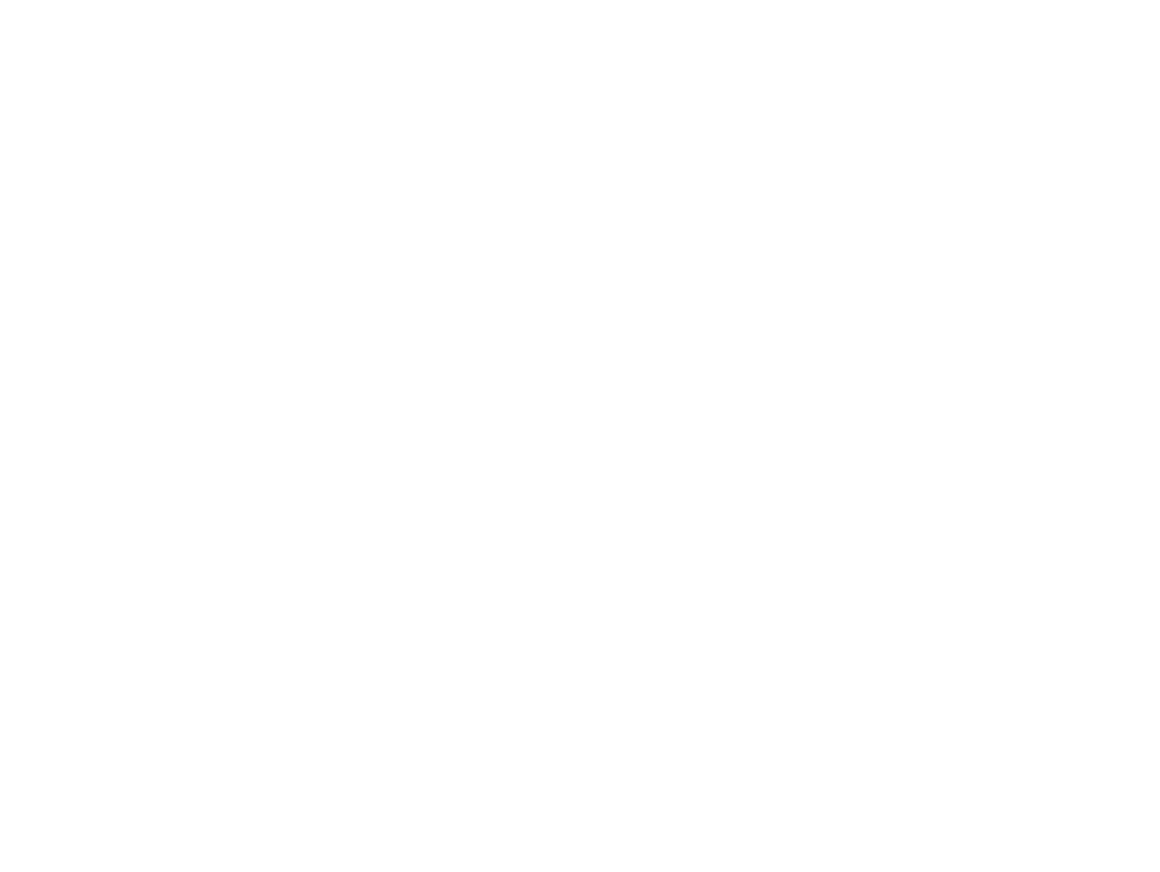 SW ACCOUNTING & CONSULTING CORP